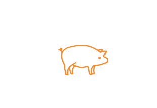 Pork