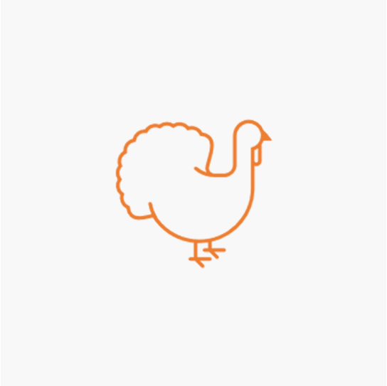 Other Poultry