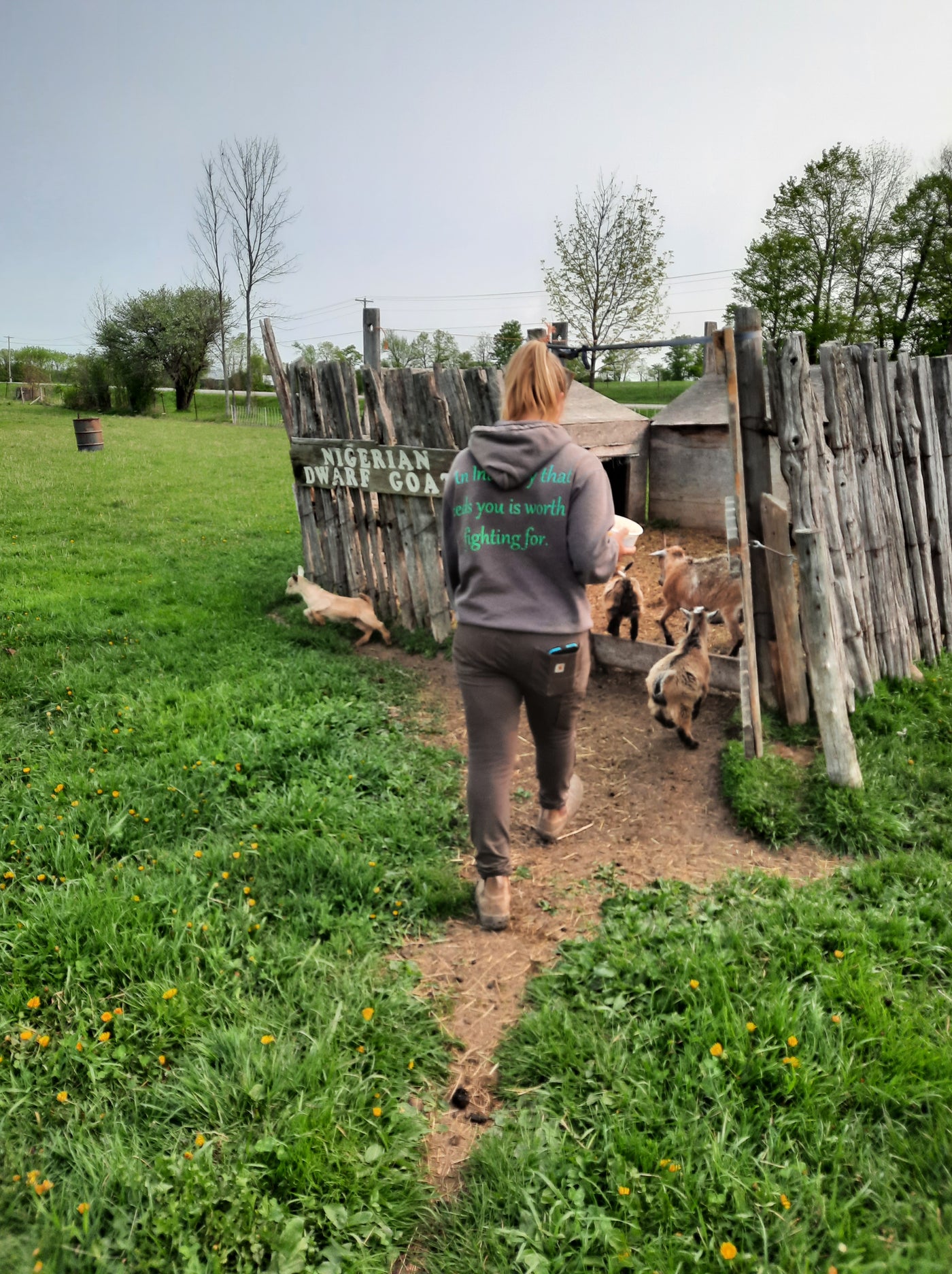 Farmer for a Morning