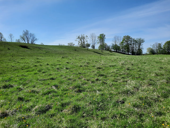 Farm Tour