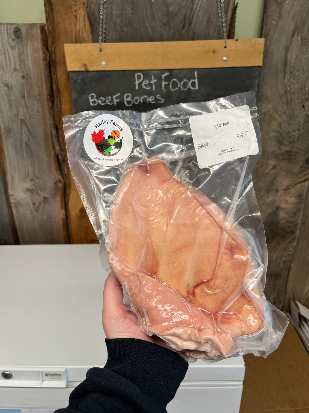 Raw Pigs Ear