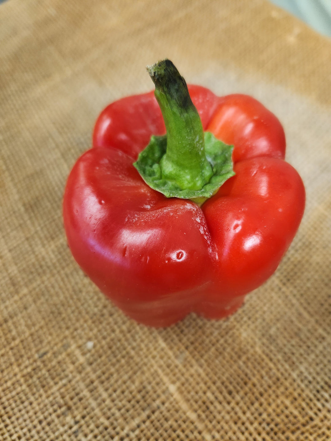 Red Pepper