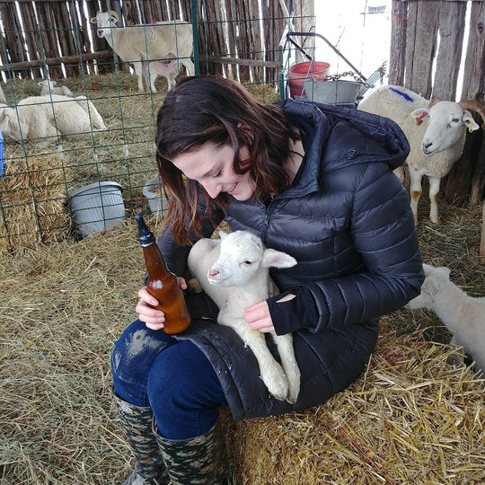 Lamb Bottle-feeding