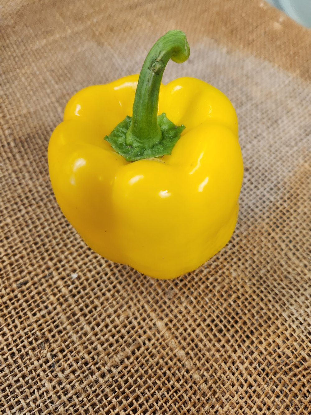 Yellow Pepper